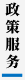 政策服务